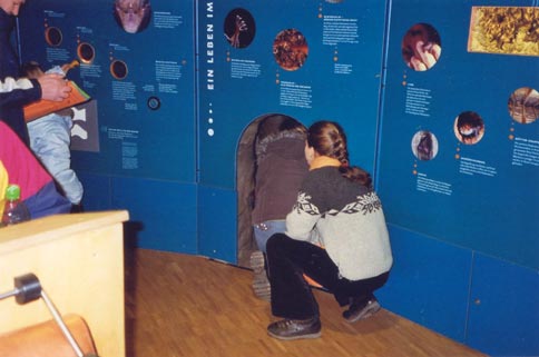 Trave-19.jpg (27210 Byte)